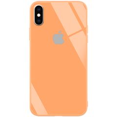 Чохол Epik GLOSSY LOGO для Apple iPhone XS Max Персиковий / Peach