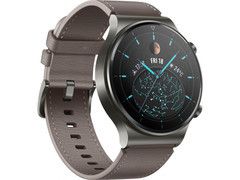 Смарт-годинник HUAWEI Watch GT 2 Pro Classic (55025792)